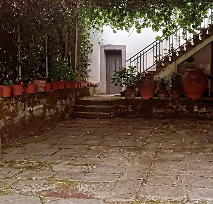 Albergo Del Ponte 산 피에로 인 바뇨 외부 사진
